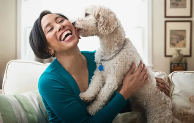 A importância dos animais de estimação para o bem-estar emocional