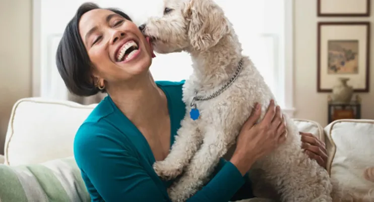 A importância dos animais de estimação para o bem-estar emocional