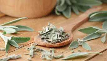 A planta medicinal que regula os níveis de açúcar e melhora a memória