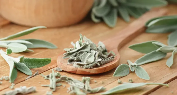 A planta medicinal que regula os níveis de açúcar e melhora a memória