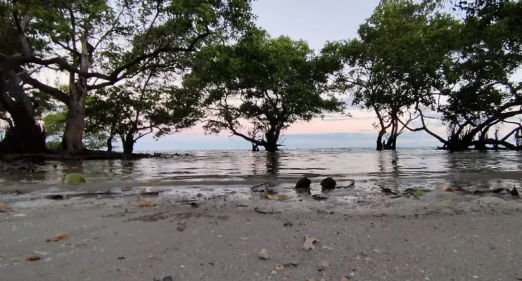 Ação de educação ambiental celebra o Dia do Manguezal em Itaparica