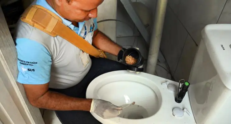 Sábado (11) é dia de mutirão de combate ao mosquito em Vitória