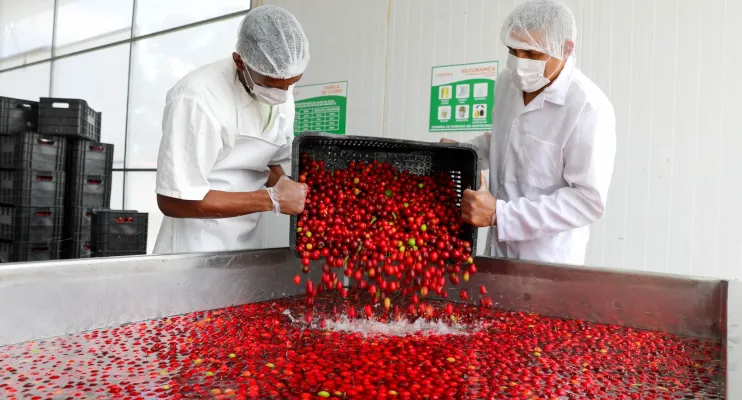 Agroindústria de polpa de frutas transforma a vida de agricultores familiares no Litoral Norte da Bahia