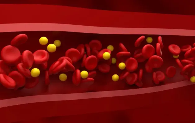 Alimentos que ajudam a melhorar o colesterol e protegem o coração