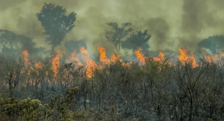 Amazônia vive recorde de incêndios em duas décadas; brigadistas se preparam para seca extrema