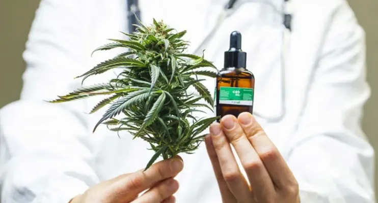 Assembleia do ES aprova fornecimento de remédio à base de cannabis via SUS