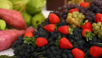 Assembleia lança novo ciclo do projeto Arranjos Produtivos para fortalecer agricultura familiar no Espírito Santo