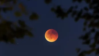 Assistiu ao eclipse lunar? Veja as imagens do último de 2026