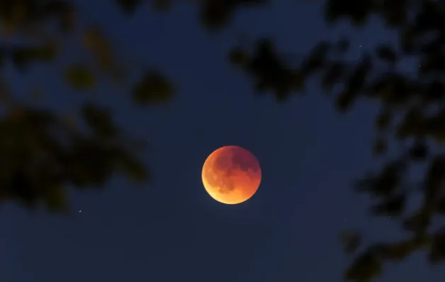 Assistiu ao eclipse lunar? Veja as imagens do último de 2026
