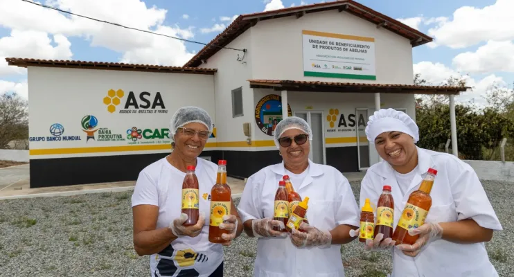 Bahia celebra o Dia do Apicultor com destaque na produção nacional de mel