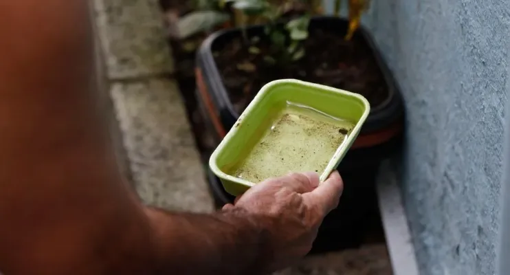 Bahia tem 265 municípios em epidemia de Dengue