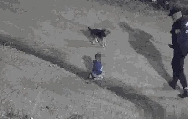 Bebê de um ano escapa de casa engatinhando com seu cachorro e é salvo pela polícia