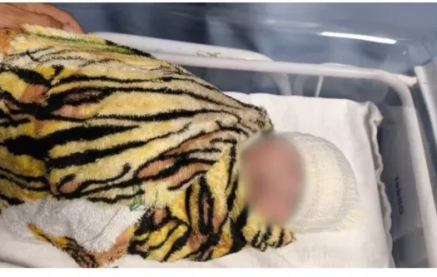 Bebê levada por falsa pediatra de hospital de Uberlândia é encontrada em Goiás