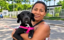 Bem Estar Animal: Linhares alcança quase 3 mil castrações gratuitas de cães e gatos