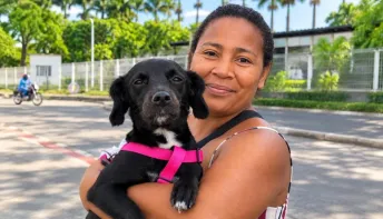 Bem Estar Animal: Linhares alcança quase 3 mil castrações gratuitas de cães e gatos