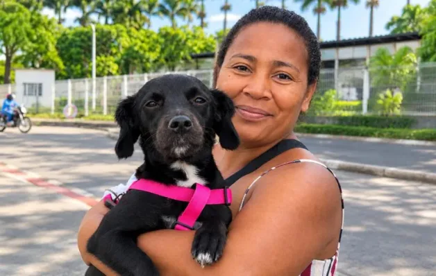 Bem Estar Animal: Linhares alcança quase 3 mil castrações gratuitas de cães e gatos