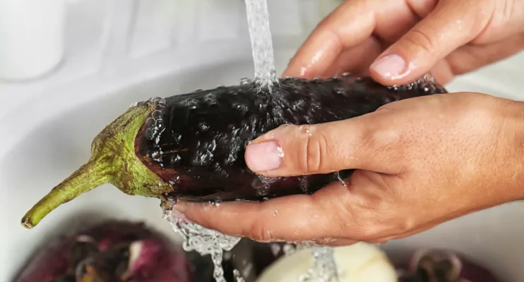 Berinjela: descubra como a água dessa fruta pode ajudar na perda de peso