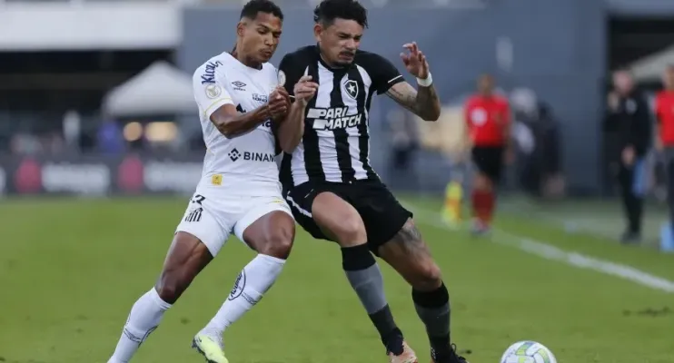 Botafogo empata na reta final e abre 11 pontos na liderança