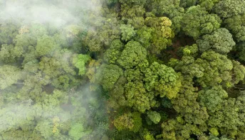 Calor de 2023 no Brasil supera anos de El Niño muito mais forte