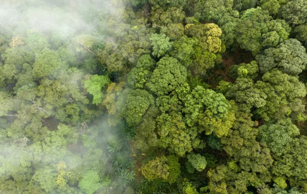 Calor de 2023 no Brasil supera anos de El Niño muito mais forte