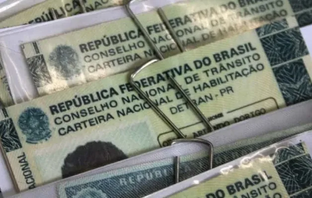 Câmara aprova cassar CNH de quem usar carro para abandonar animais na rua