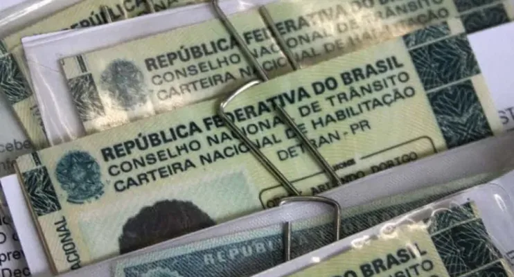 Câmara aprova cassar CNH de quem usar carro para abandonar animais na rua