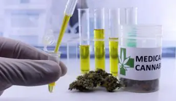 Canabinóides podem auxiliar no tratamento de doenças neurológicas
