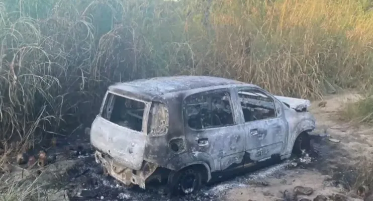 Canavial é usado por criminosos para desovar corpos