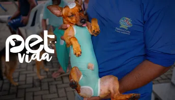 Carreta do programa Pet Vida inicia mutirão de castração em Pedro Canário