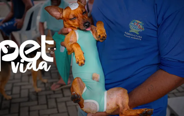 Carreta do programa Pet Vida inicia mutirão de castração em Pedro Canário