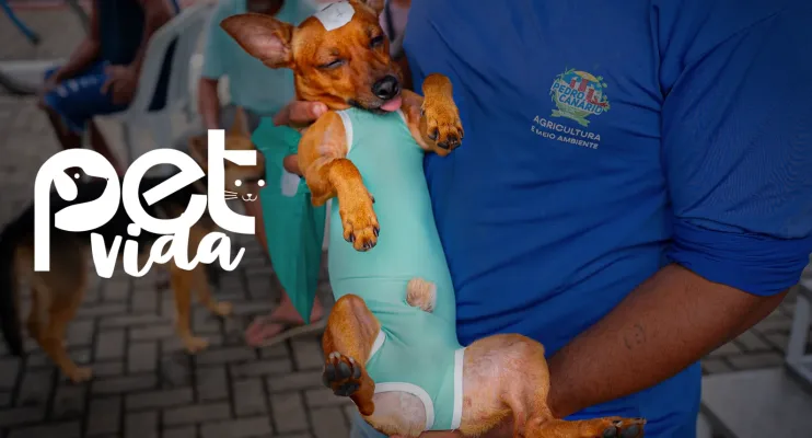 Carreta do programa Pet Vida inicia mutirão de castração em Pedro Canário