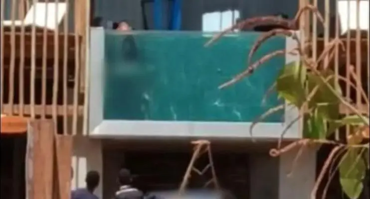 Casal é flagrado fazendo sexo em piscina transparente de pousada em TO
