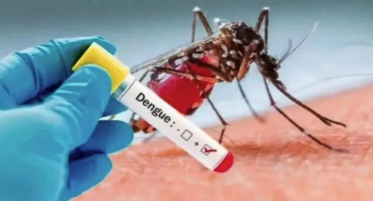 Casos de dengue disparam no país e combate ao mosquito ainda é melhor forma de evitar a doença