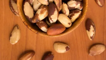 Castanha-do-Pará ajuda na saúde intestinal e reduz inflamação, diz estudo