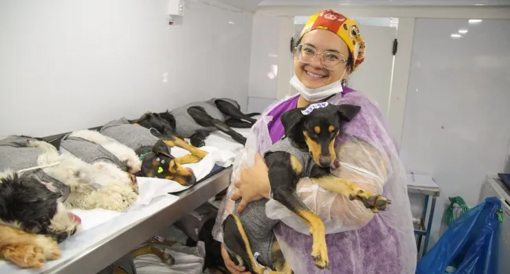 Castra Pet chega a Linhares para atender 900 animais
