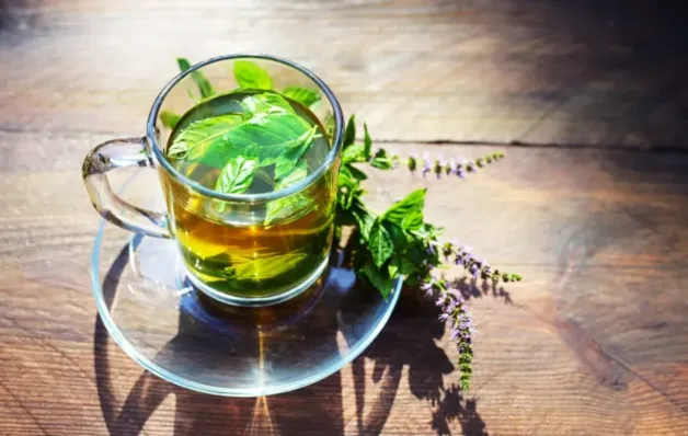  Chá popular entre brasileiros pode ajudar a relaxar e melhorar o sono