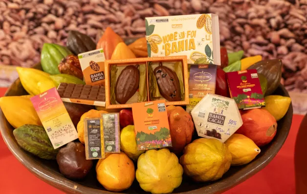 Chocolat Bahia 2026 terá programação voltada ao desenvolvimento rural e à agricultura familiar