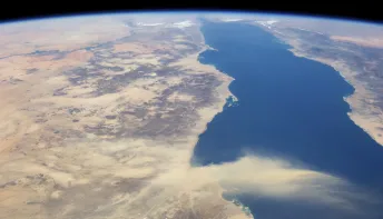 Cientistas brasileiros vão estudar efeitos da gravidade em minicérebros enviados ao espaço