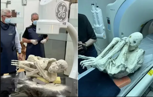 Cientistas dos EUA retomam investigações sobre as 'múmias extraterrestres' do Peru