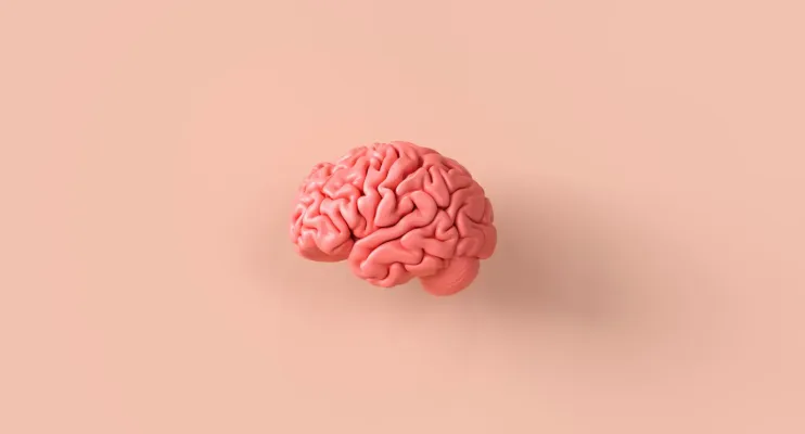 Cinco truques de uma neurocientista para fortalecer a memória