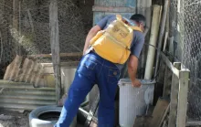 Com 227 casos confirmados,  alerta contra chikungunya é reforçado em Jaguaré