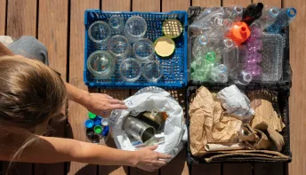 Combate às mudanças climáticas: uma batalha que é de todos