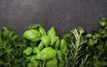 Como conservar ervas frescas por mais tempo (sem deixá-las murchar)