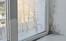 Como reduzir a umidade em casa com soluções simples e naturais