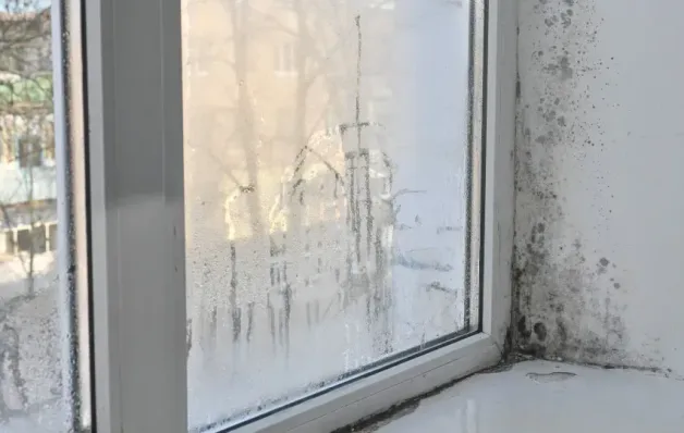 Como reduzir a umidade em casa com soluções simples e naturais