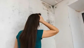 Como tirar mofo da parede de forma caseira em alguns cômodos da casa