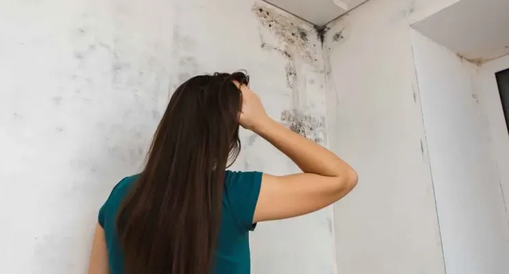 Como tirar mofo da parede de forma caseira em alguns cômodos da casa