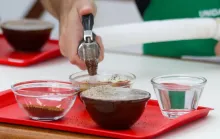 Concurso da qualidade do café conilon de Linhares vai premiar mulheres produtoras