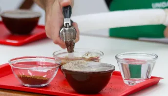 Concurso da qualidade do café conilon de Linhares vai premiar mulheres produtoras