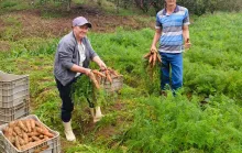 Cooperativa leva produção de agricultores de Domingos Martins para estudantes de todo o Espírito Santo